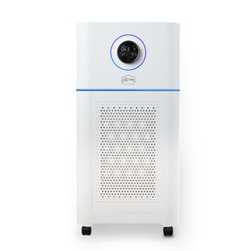 djive Professional PURE 800 Luftreiniger & Luftbefeuchter